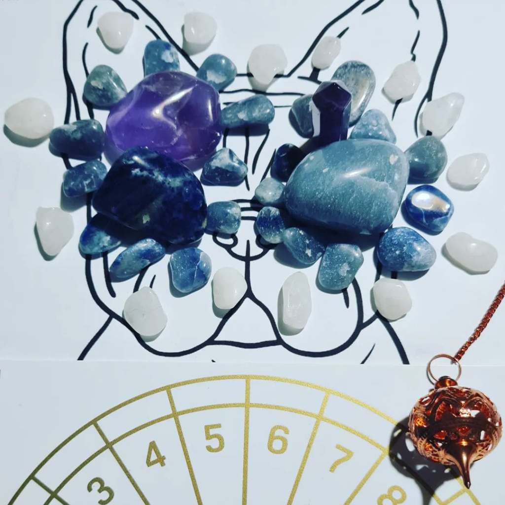 pet-mandala-1